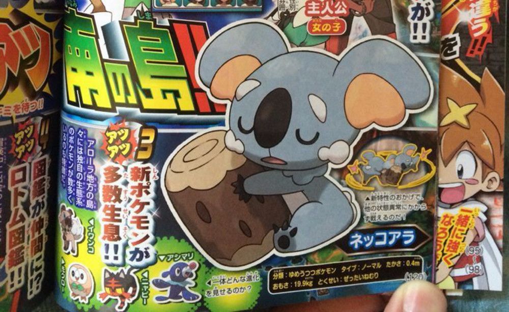 pokemon sun moon nekkoala.jpg pokemon sun moon nekkoala.jpg